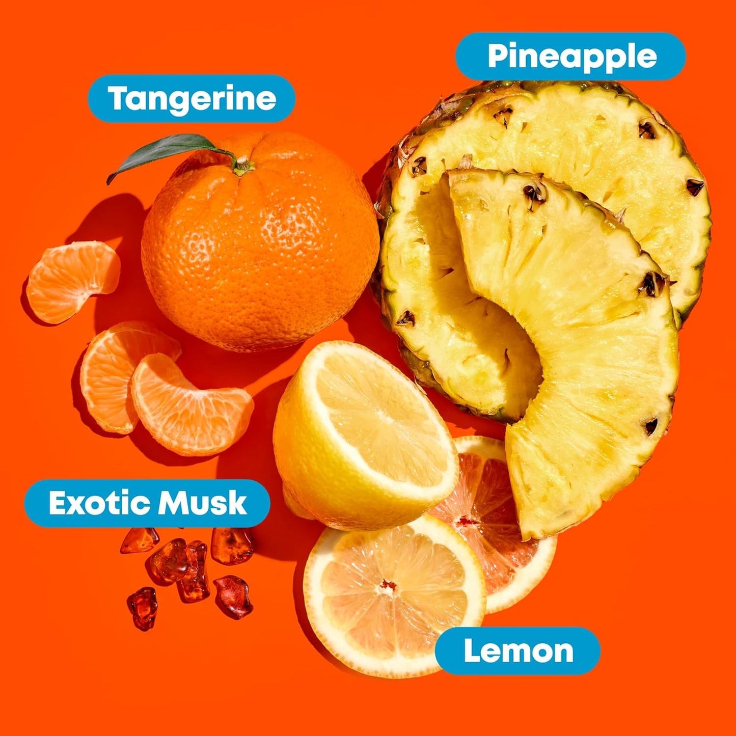 Mega Sleek Shampoo and Conditioner Set - Smoothing and Moisturizing, Anti-Frizz, Detangling, for All Dry, Damaged & Frizzy Hair Types, Nourishes with Shea Butter, Vegan